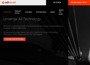How adkernel.com looks like on a tablet such as an iPad.