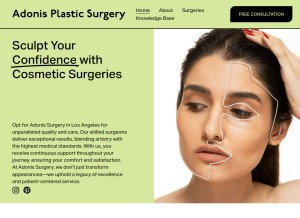 How adonis.surgery looks like on a tablet such as an iPad.