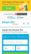 How adoptapet.com looks like on a mobile device such as an iPhone.