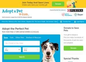 How adoptapet.com looks like on a tablet such as an iPad.