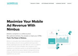 How adsbynimbus.com looks like on a tablet such as an iPad.