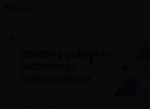 How adtelligent.com looks like on a tablet such as an iPad.