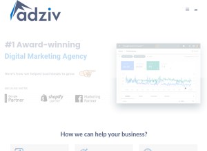 How adziv.com looks like on a tablet such as an iPad.