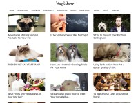 Desktop screenshot for buzzsharer.com