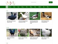 Desktop screenshot for roysfarm.com