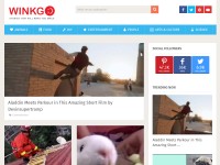 Desktop screenshot for winkgo.com