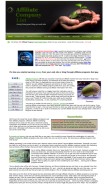 How affiliatecompanylist.com looks like on a mobile device such as an iPhone.