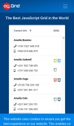 How ag-grid.com looks like on a mobile device such as an iPhone.