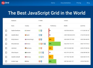How ag-grid.com looks like on a tablet such as an iPad.