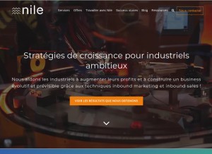 How agencenile.com looks like on a tablet such as an iPad.