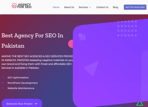 How agencyforseo.com looks like on a tablet such as an iPad.