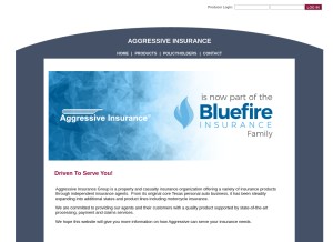How aggressiveusa.com looks like on a tablet such as an iPad.