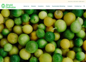 How aholddelhaize.com looks like on a tablet such as an iPad.