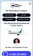 How airlinereservationwindow.com looks like on a mobile device such as an iPhone.