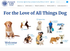 How akc.org looks like on a tablet such as an iPad.