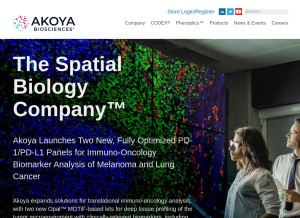 How akoyabio.com looks like on a tablet such as an iPad.