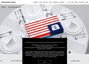 How alexanderwang.com looks like on a tablet such as an iPad.