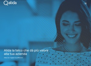 How alida.it looks like on a tablet such as an iPad.