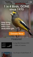 How allaboutbirds.org looks like on a mobile device such as an iPhone.