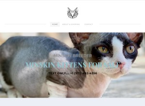 How allyminskin.company.com looks like on a tablet such as an iPad.