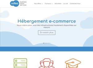How altima-hosting.fr looks like on a tablet such as an iPad.