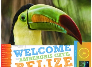 How ambergriscaye.com looks like on a tablet such as an iPad.