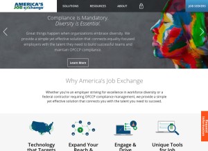 How americasjobexchange.com looks like on a tablet such as an iPad.