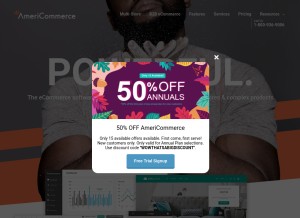 How americommerce.com looks like on a tablet such as an iPad.