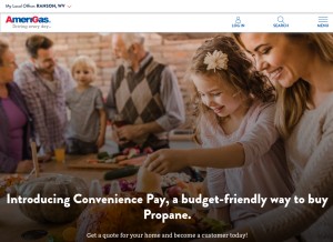 How amerigas.com looks like on a tablet such as an iPad.