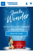 How amexgiftcard.com looks like on a mobile device such as an iPhone.
