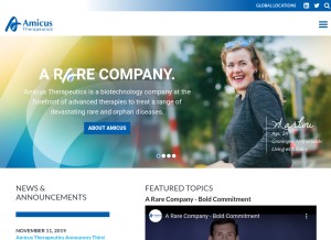 How amicusrx.com looks like on a tablet such as an iPad.
