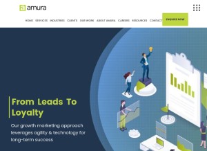 How amuratech.com looks like on a tablet such as an iPad.