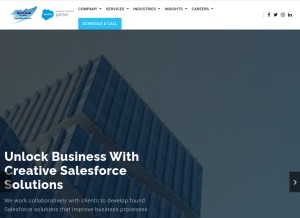 How anavcloudsoftwares.com looks like on a tablet such as an iPad.
