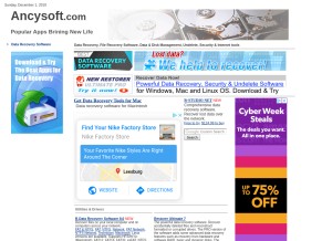 How ancysoft.com looks like on a tablet such as an iPad.