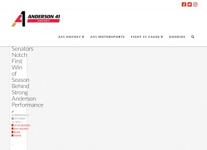 How anderson41.com looks like on a tablet such as an iPad.