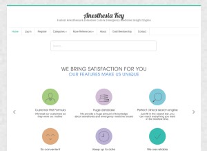 How aneskey.com looks like on a tablet such as an iPad.