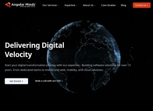 How angularminds.com looks like on a tablet such as an iPad.