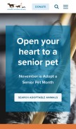 How animalhumanesociety.org looks like on a mobile device such as an iPhone.