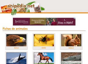 How anipedia.net looks like on a tablet such as an iPad.