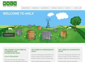 How anlx.net looks like on a tablet such as an iPad.