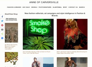 How anneofcarversville.com looks like on a tablet such as an iPad.