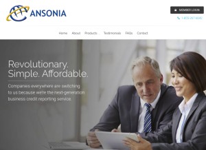 How ansoniacreditdata.com looks like on a tablet such as an iPad.