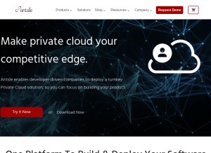 How antsle.com looks like on a tablet such as an iPad.