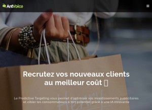 How antvoice.com looks like on a tablet such as an iPad.