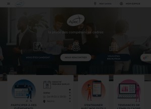 How apec.fr looks like on a tablet such as an iPad.