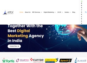 How apexinfotechindia.com looks like on a tablet such as an iPad.