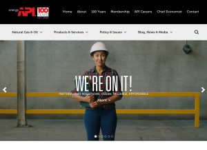 How api.org looks like on a tablet such as an iPad.