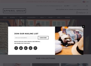 How apparelgroup.com looks like on a tablet such as an iPad.