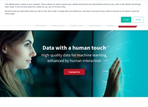 How appen.com looks like on a tablet such as an iPad.