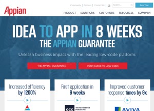 How appian.com looks like on a tablet such as an iPad.